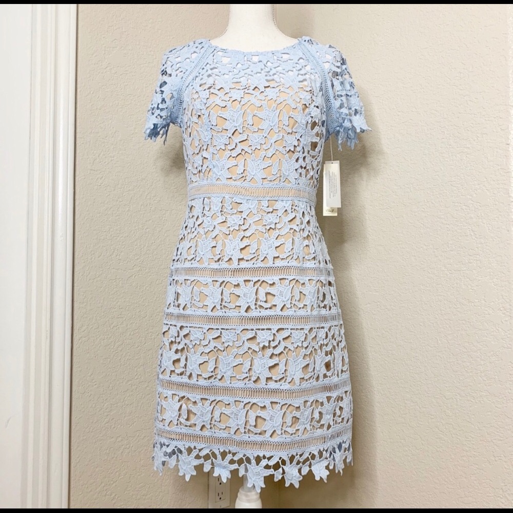 NWT Eliza J Lace Crochet Overlay Sheath Dress